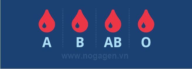 Top 8 trong ruột d. cả a b và c hay nhất, bạn nên biết 17 Xác định huyết thống qua nhóm máu ABO có chính xác không?